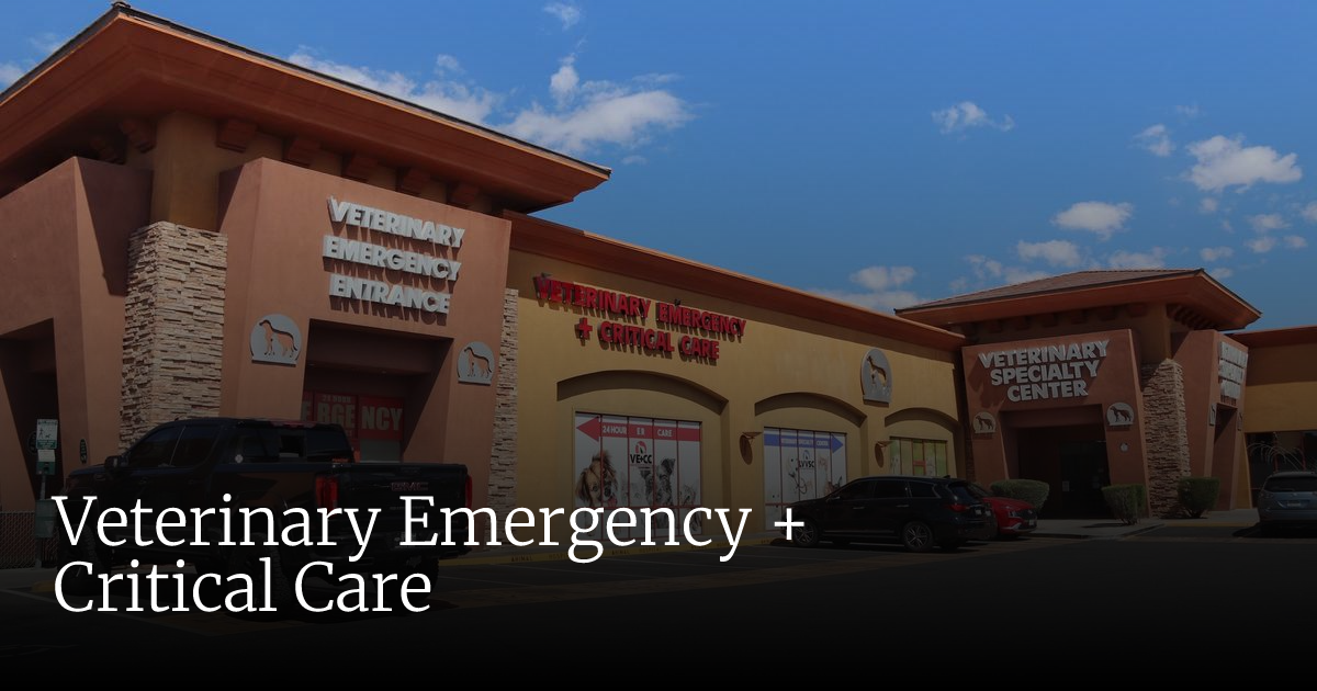 Veterinary Emergency + Critical Care | Greater Las Vegas