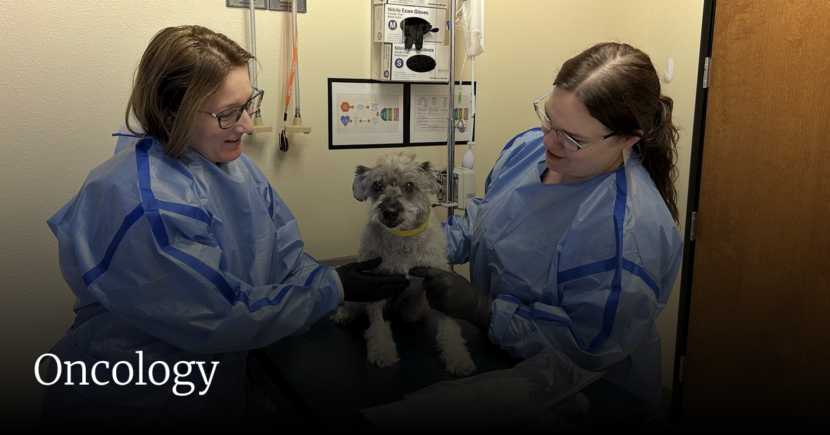 Compassionate Oncology Care for Pets | Las Vegas Veterinary